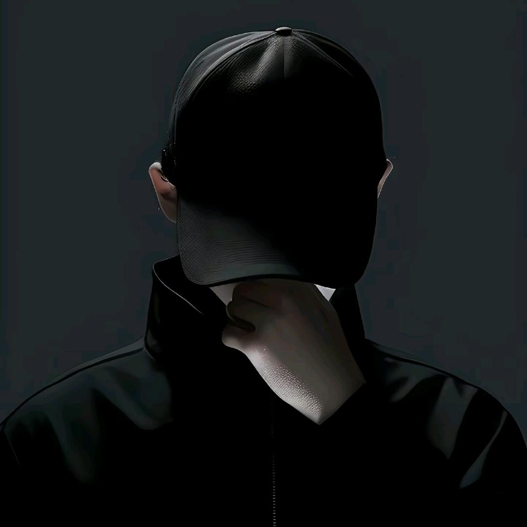 ✨     流浪猫🐱