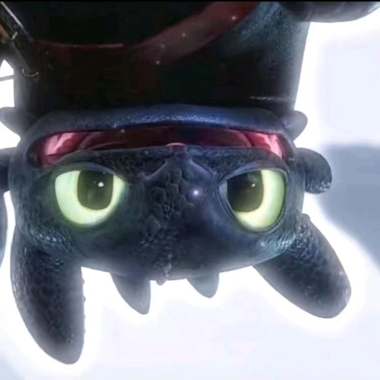 武当山一只熊（减肥版）