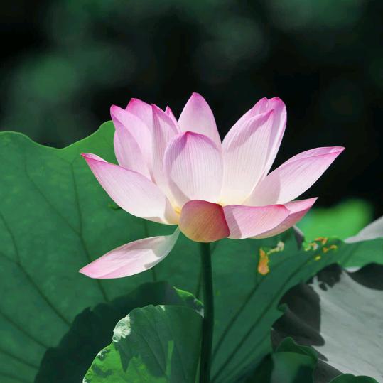 积极向上