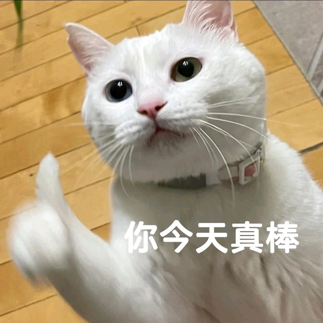 翌也