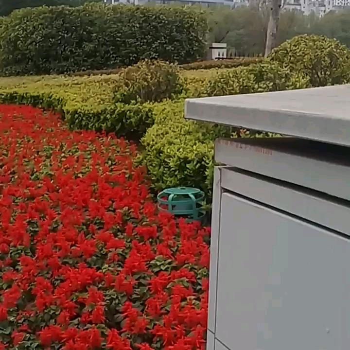 用户6929295726030查江琴