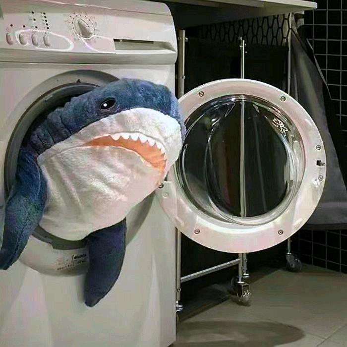 张脑丸！（破碎版😐）