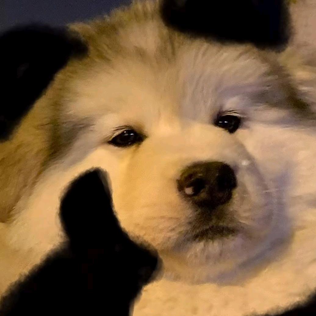 24h轻女子健身官方号