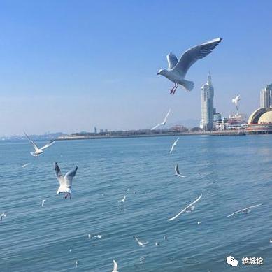 ❤️清醒