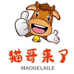 猫哥来了
