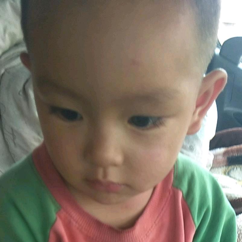 我家有三宝