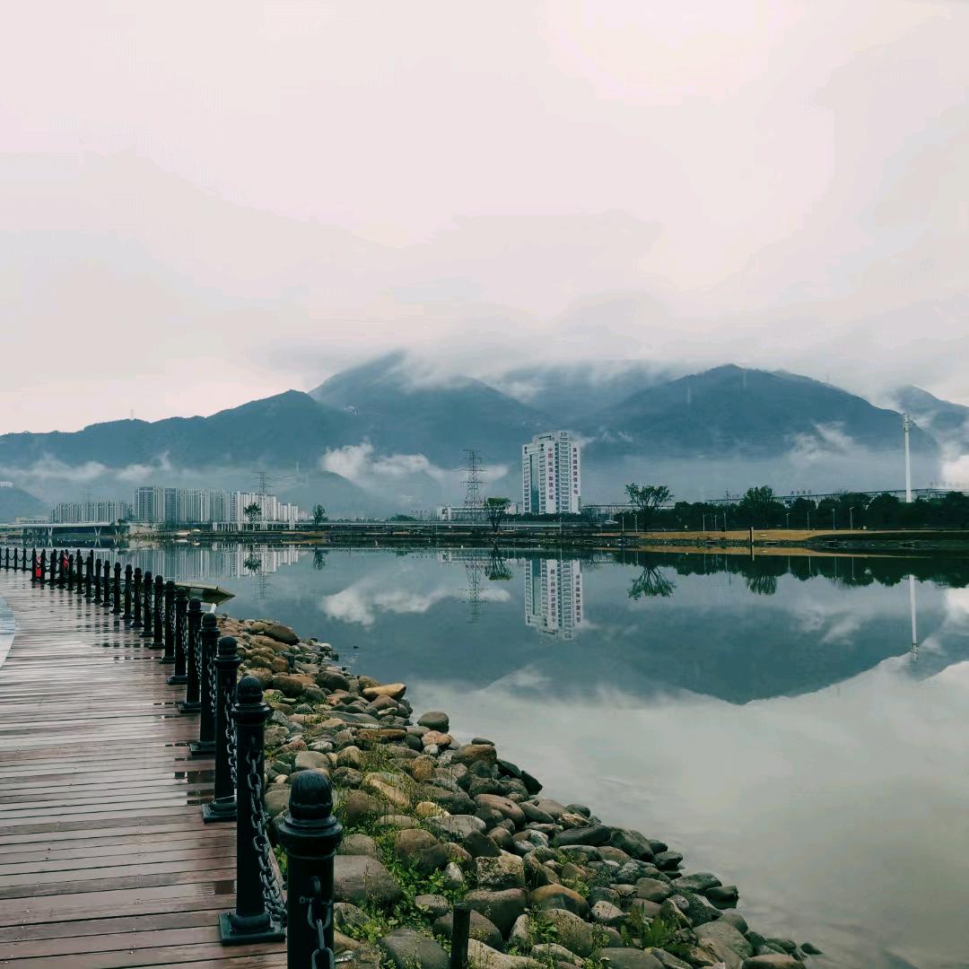 默默的灯塔
