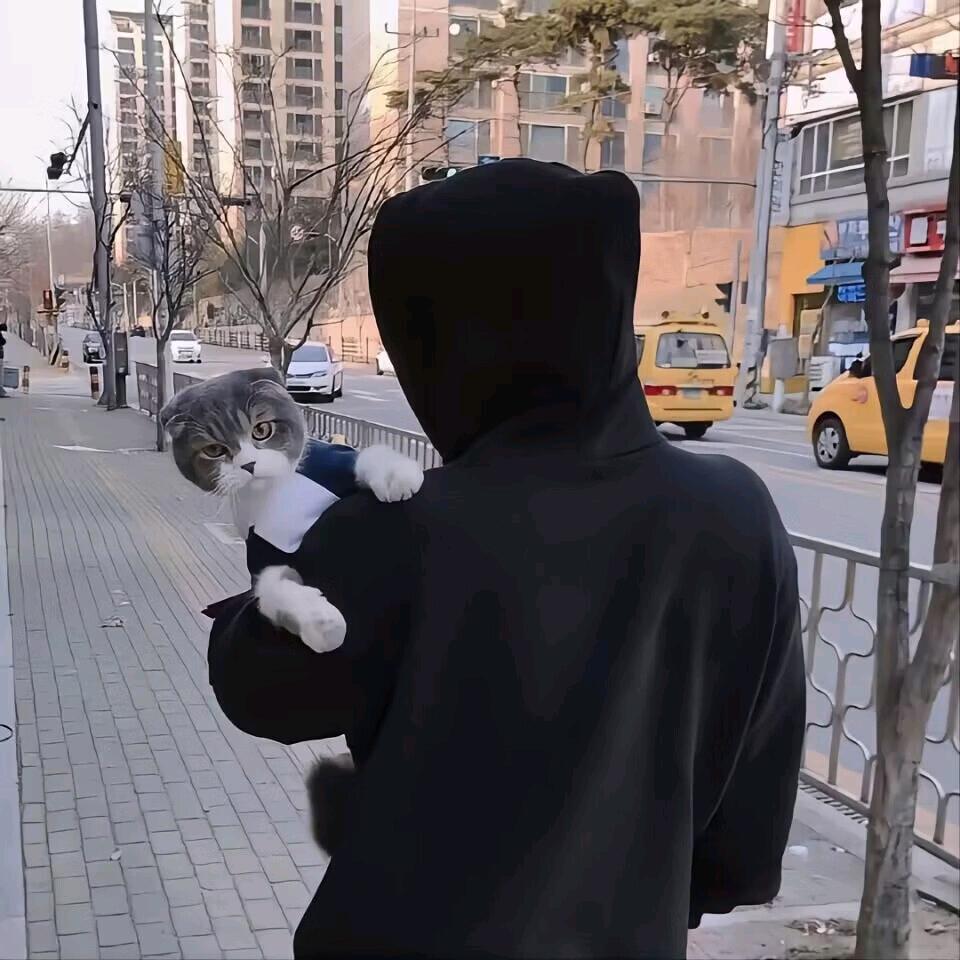 如初丶