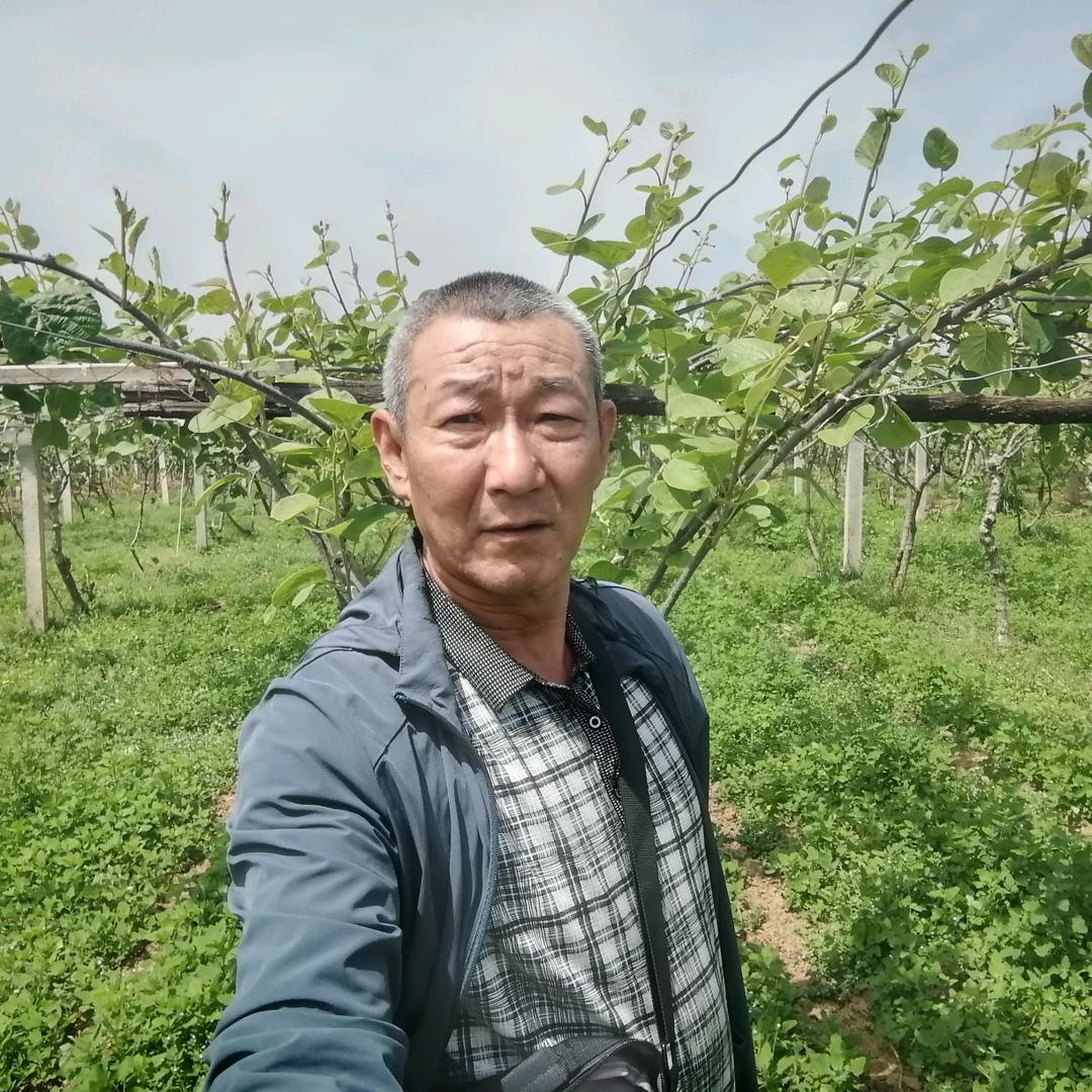 🐰与酒无缘🐰