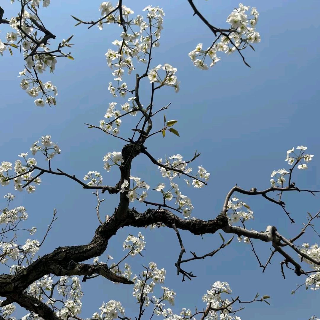 一生平安