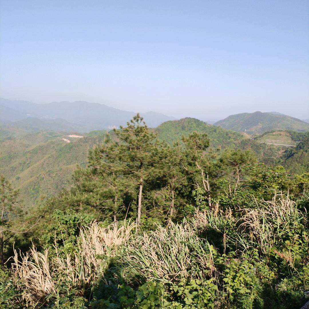 明亮的月光