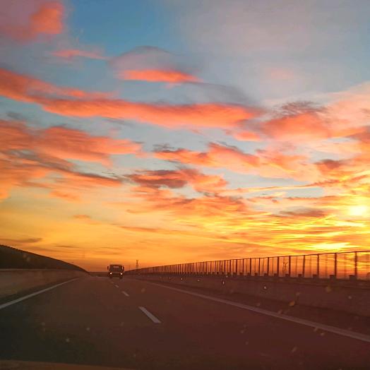 💞ღᩚ᭄罗花꯭ꦿ有意꧔ꦿ࿐ᮨ໌