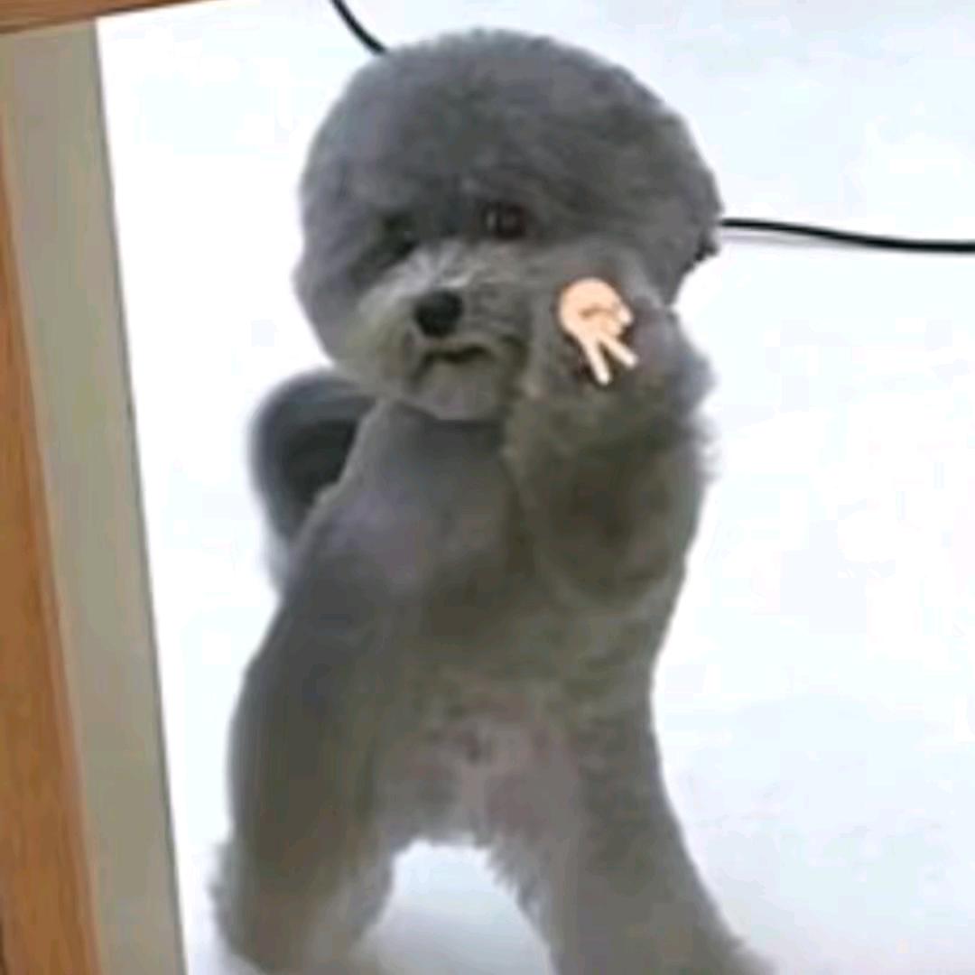 绝世