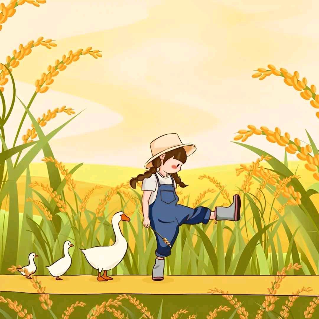 清栀