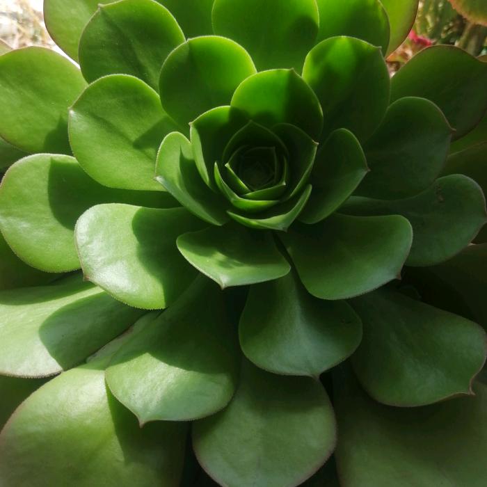 兵哥学短视频(大兵唱歌小号)