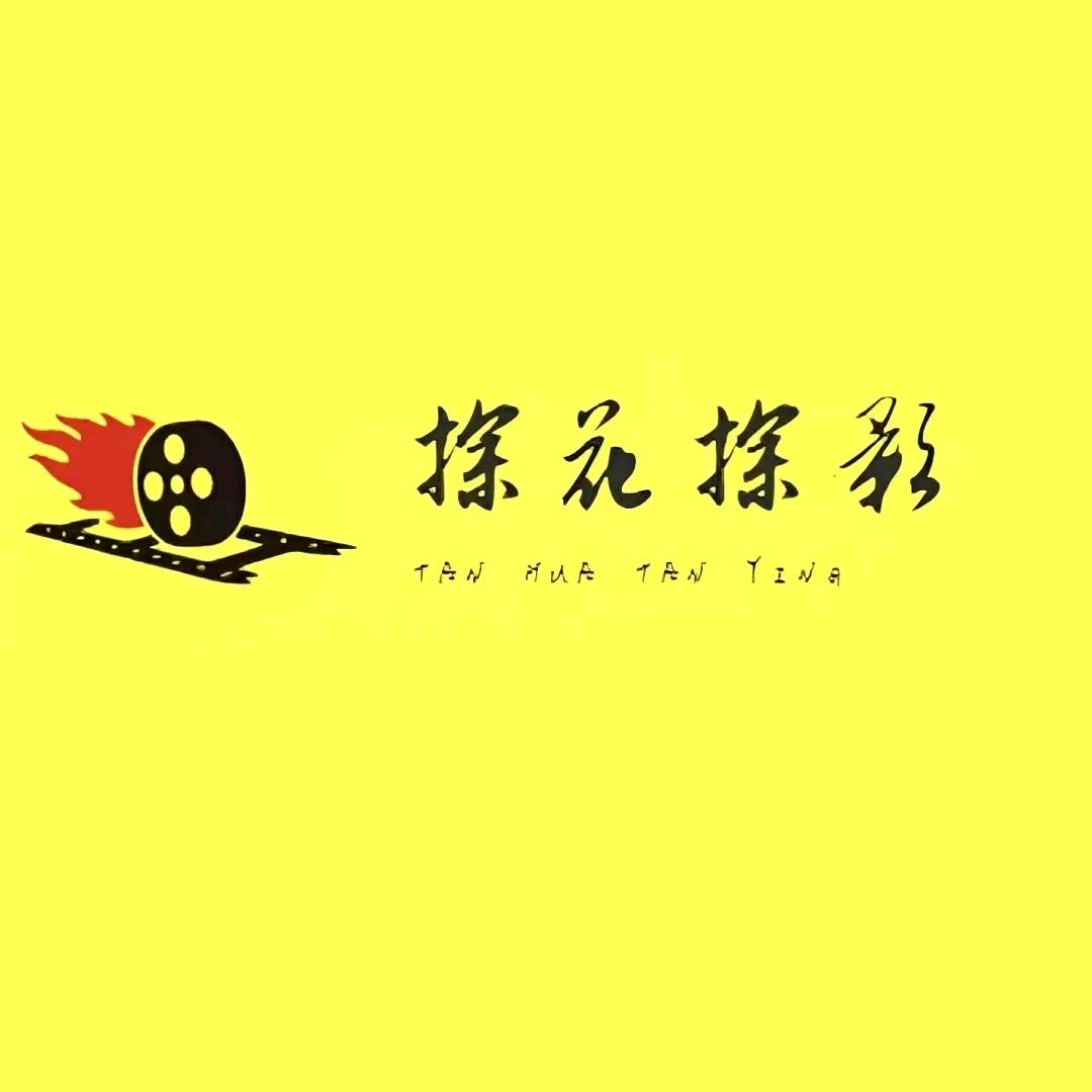 探花探影