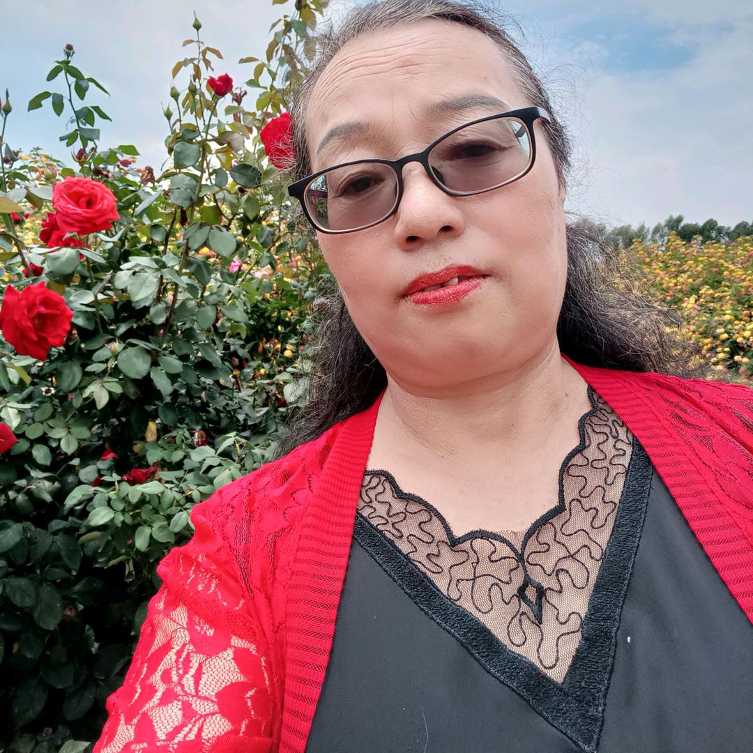 杨姐（曲靖刀迷）