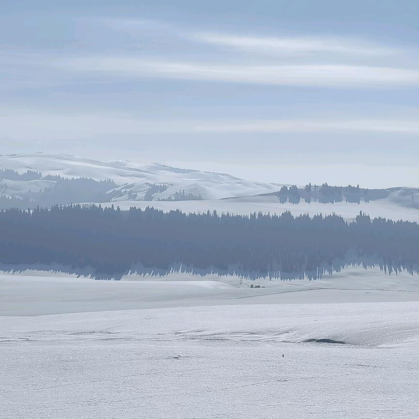喝最冰的可乐🥤