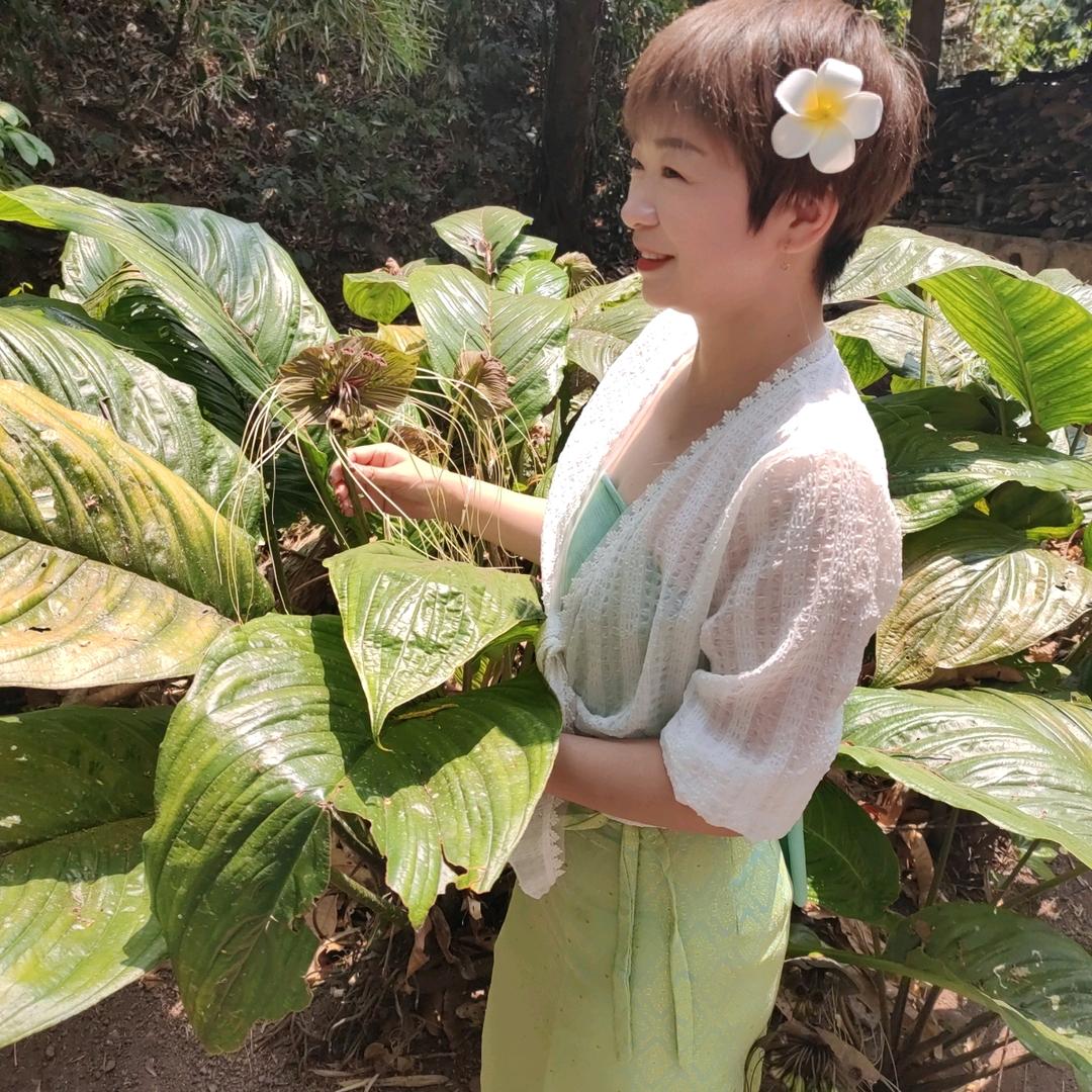 红豆
