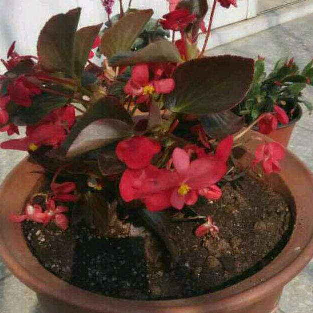 开心的女人拒绝私聊