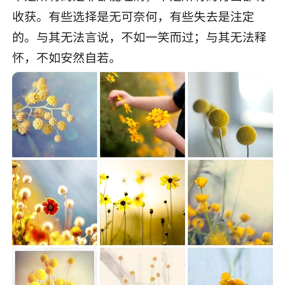 随逸