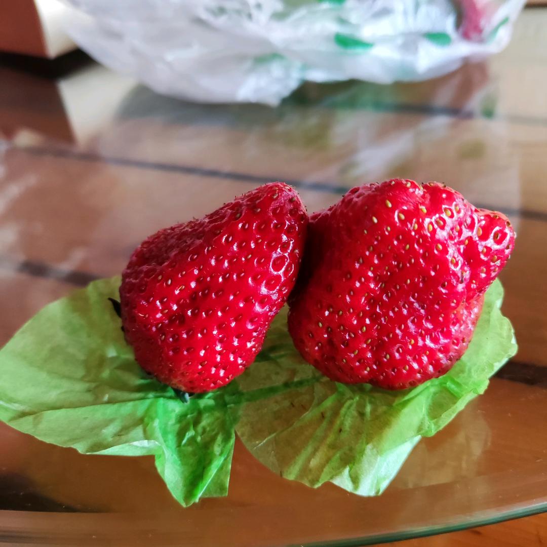 宏之发装饰