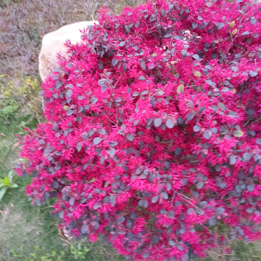 幸福·平安
