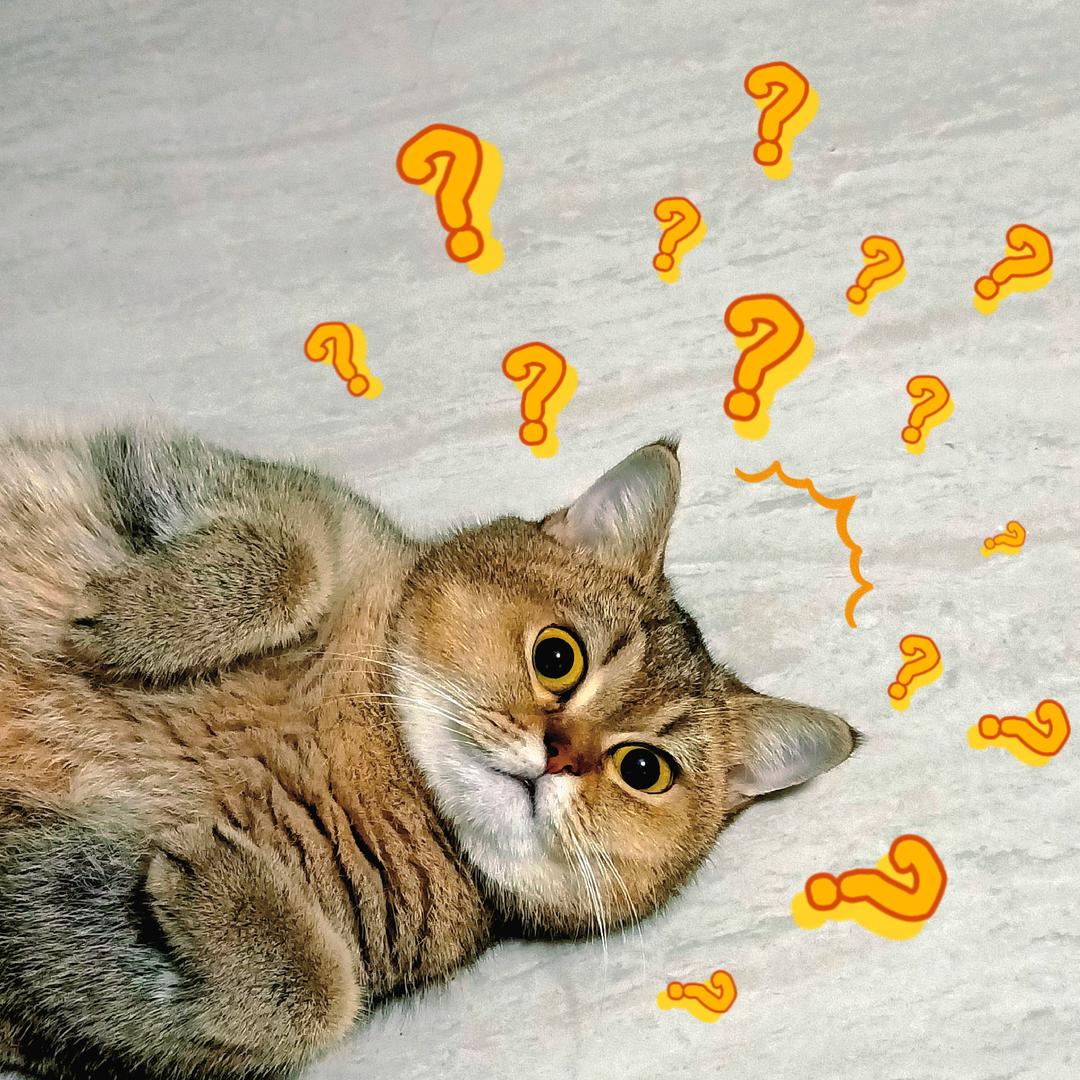 隔壁老王夸我靓