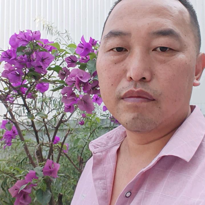 重新再来