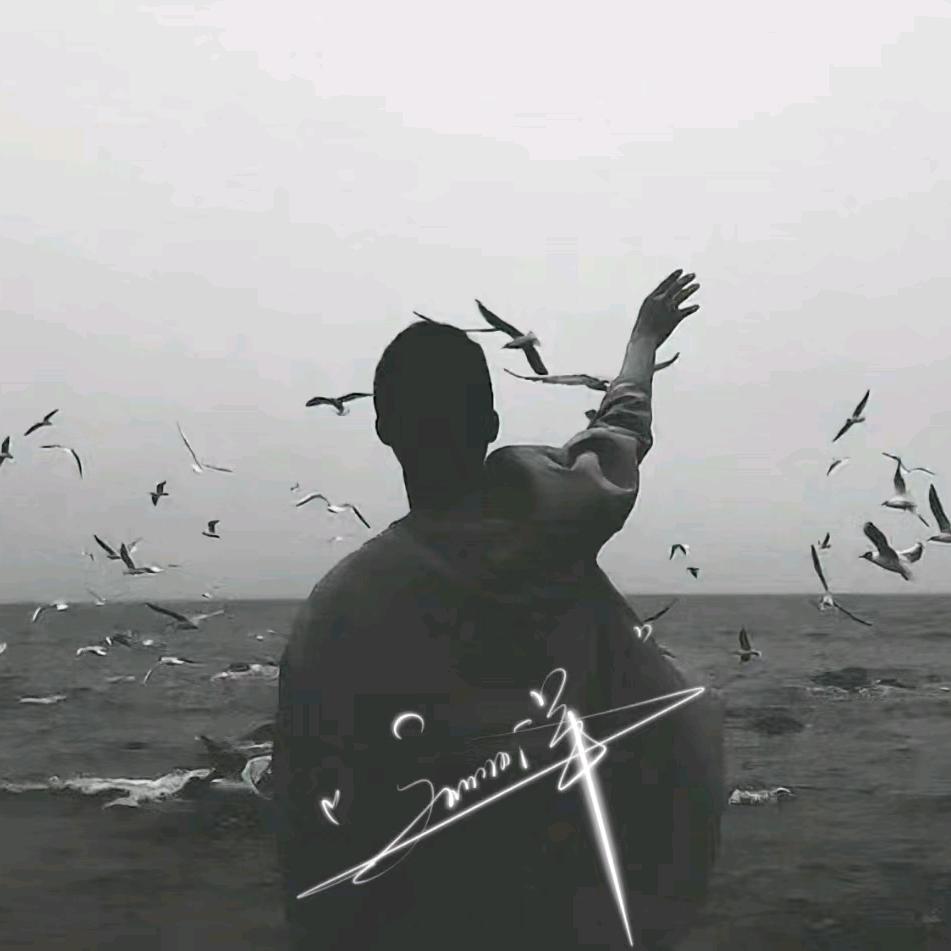 你不会遇见第二个我