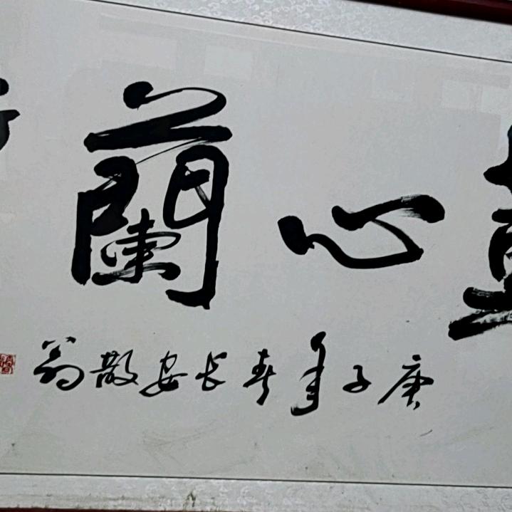 星星点月