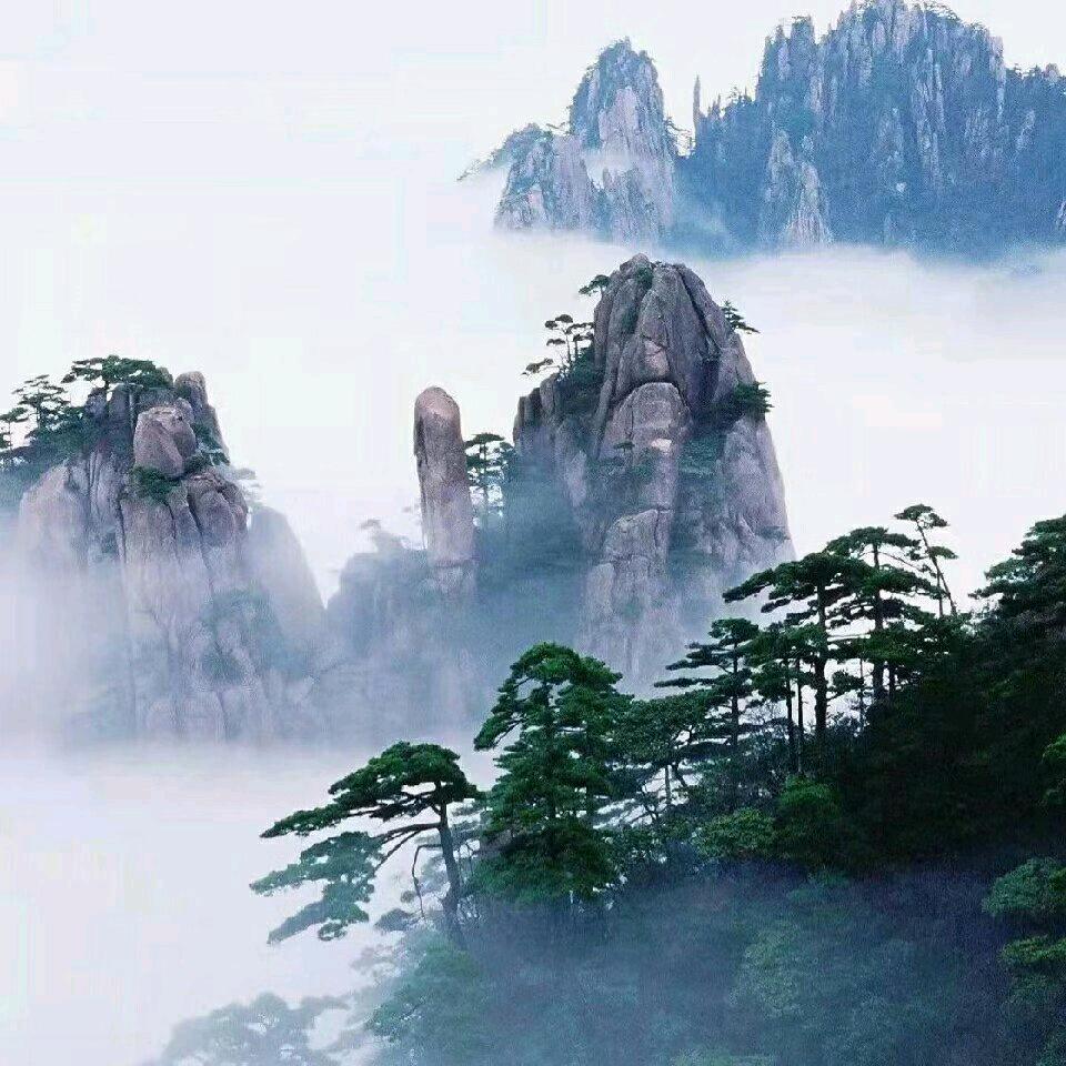 幸运黍好物