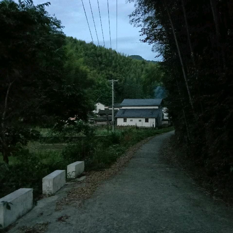 林4人）4@