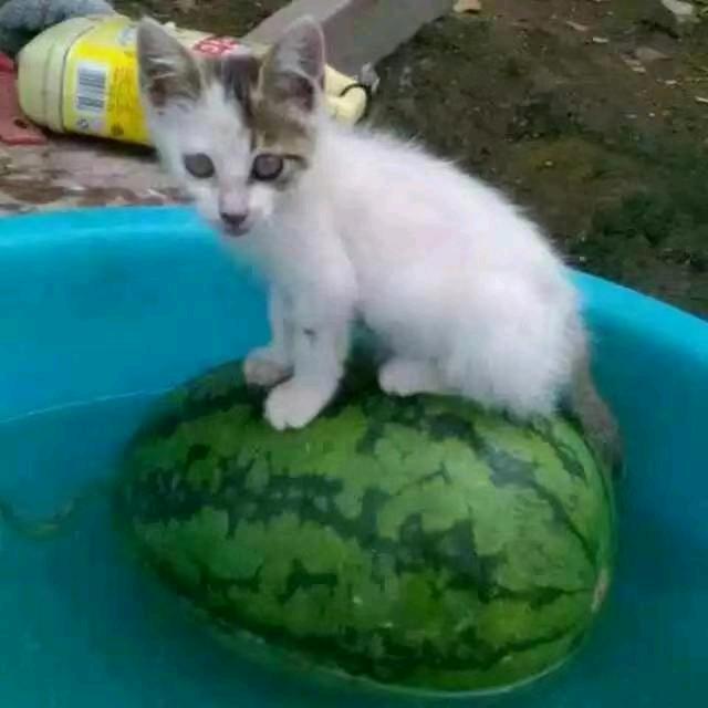 美好的一天
