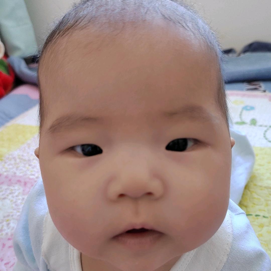 我是团团