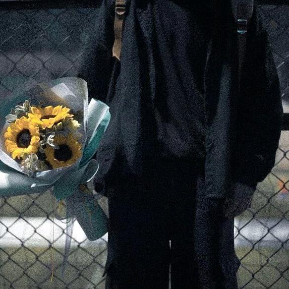 大熊的发财日记