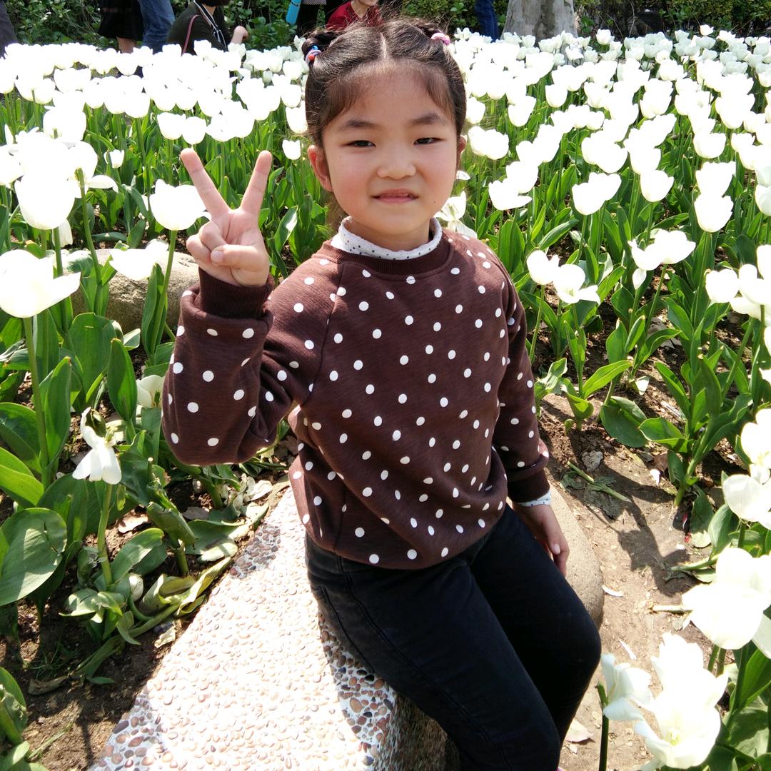 🍀花开季节