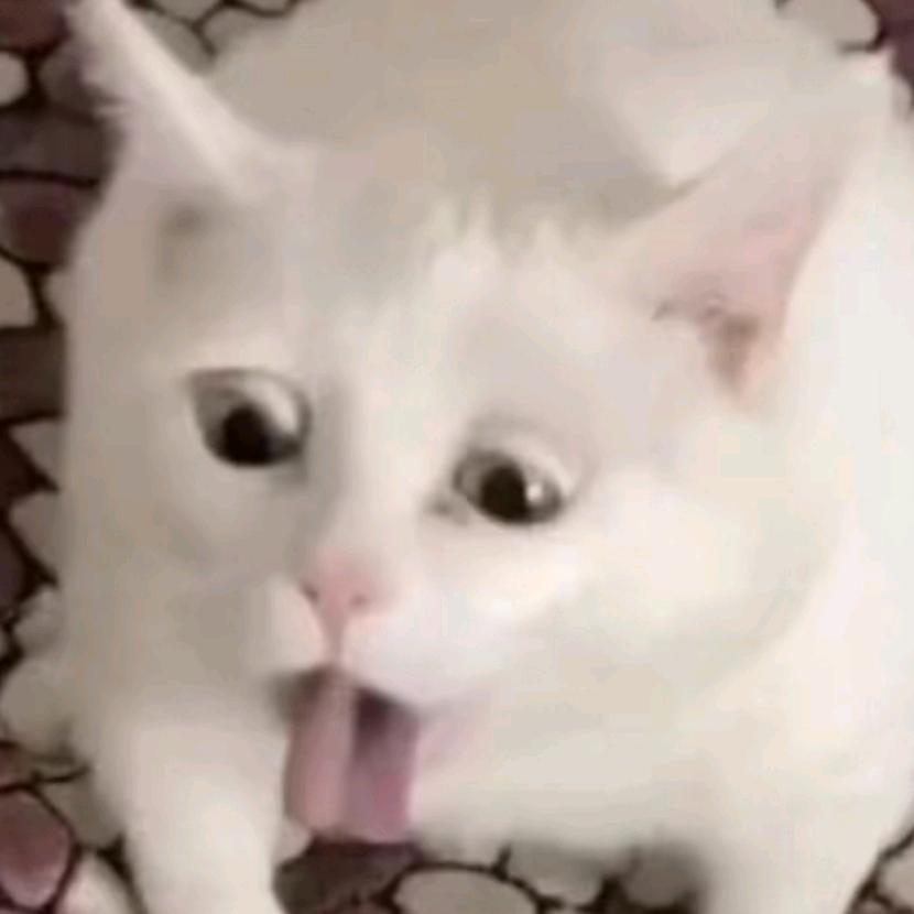 巨什么春