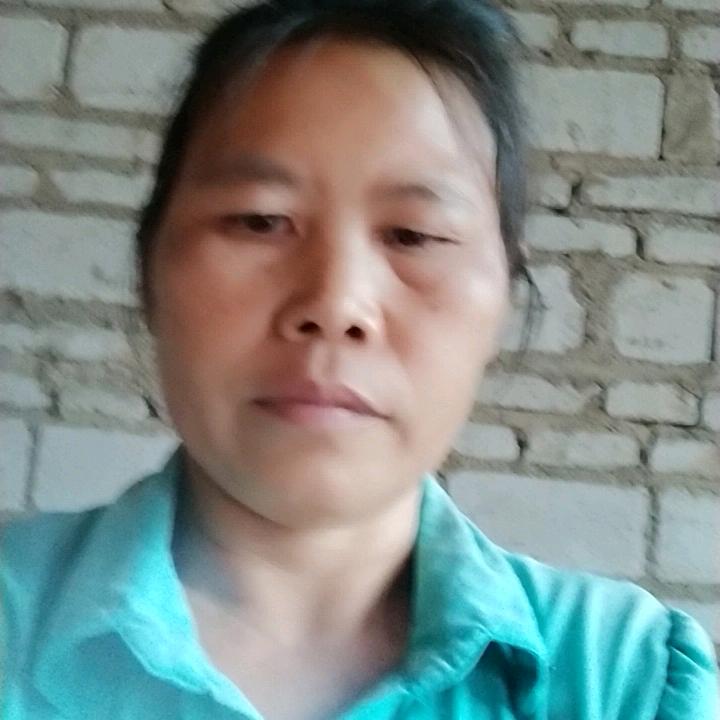 龙有芬