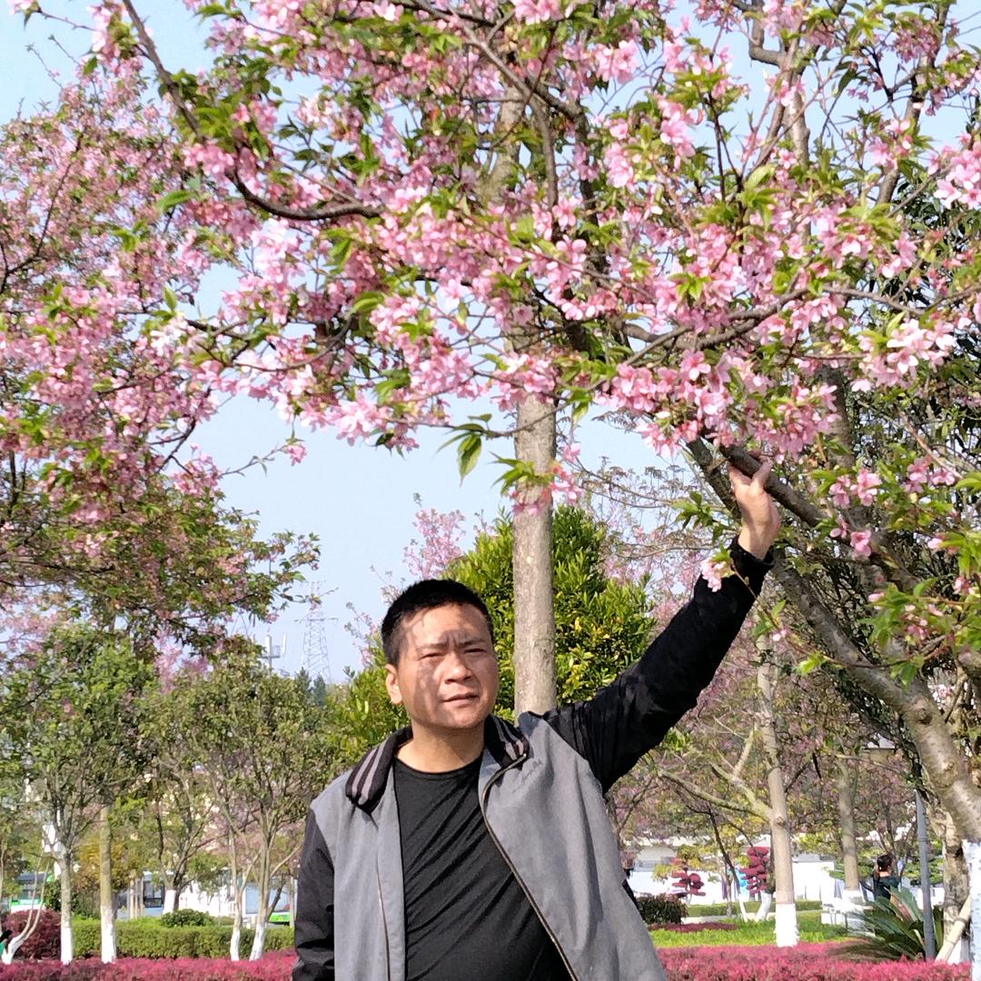 岁月无声