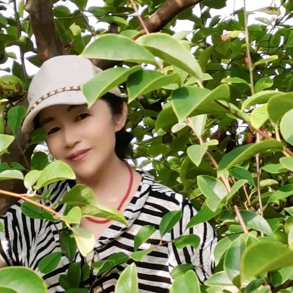 🌸苏北🌸