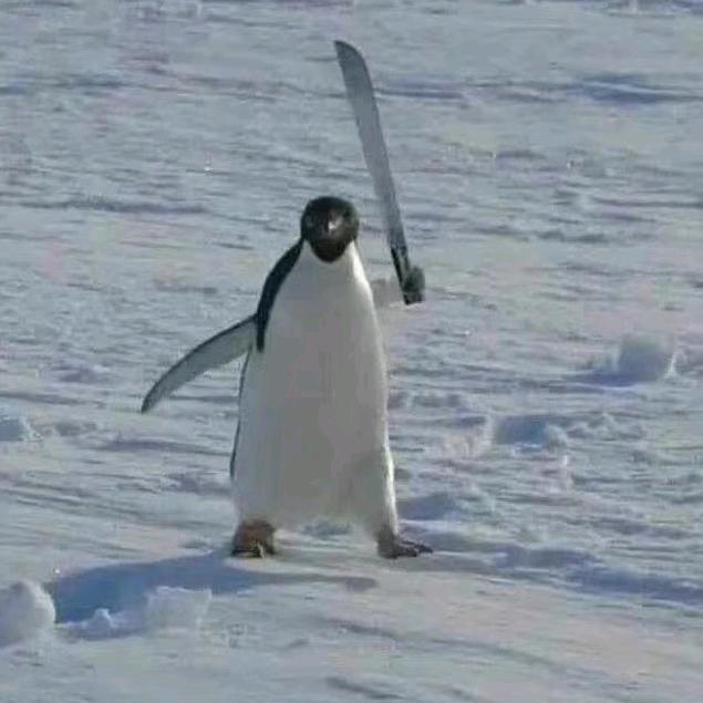 嘿