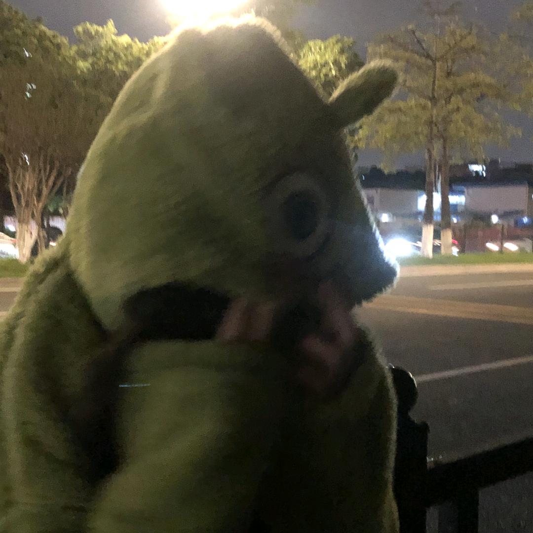 一起追日落