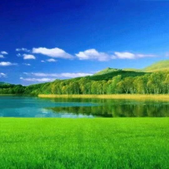 张掖狗崽繁殖基地
