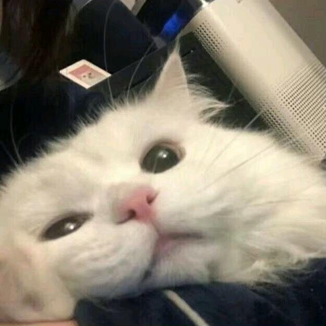 呱呱乐