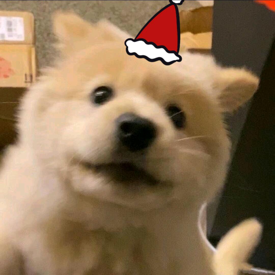 牛子诗人