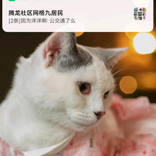 大王下山了