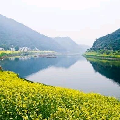 圆喜～草济堂大鹏内气养生