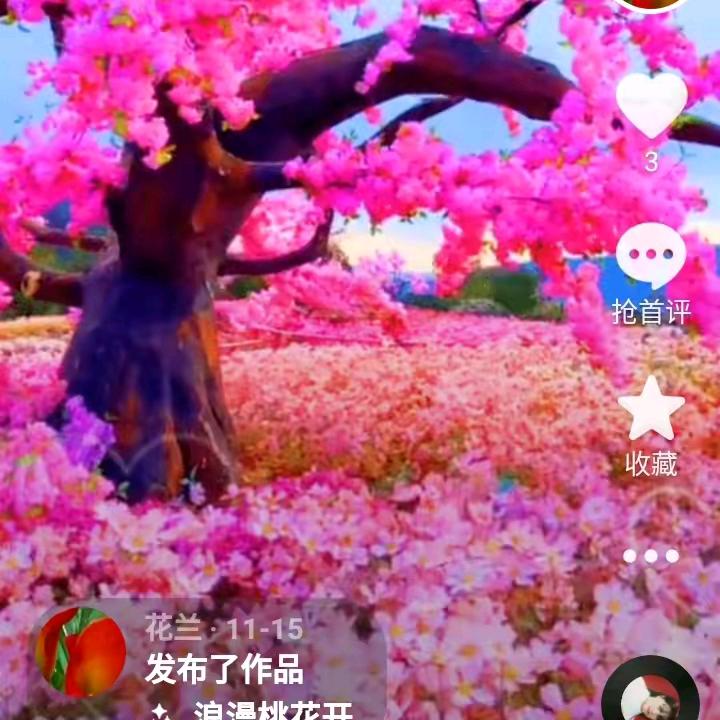 抒写情装