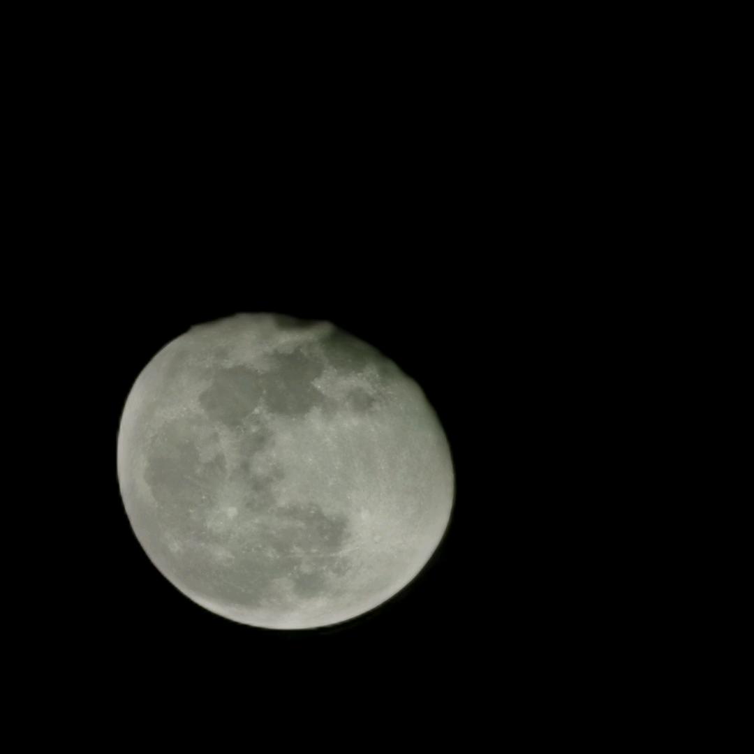 拔剑四顾心茫然